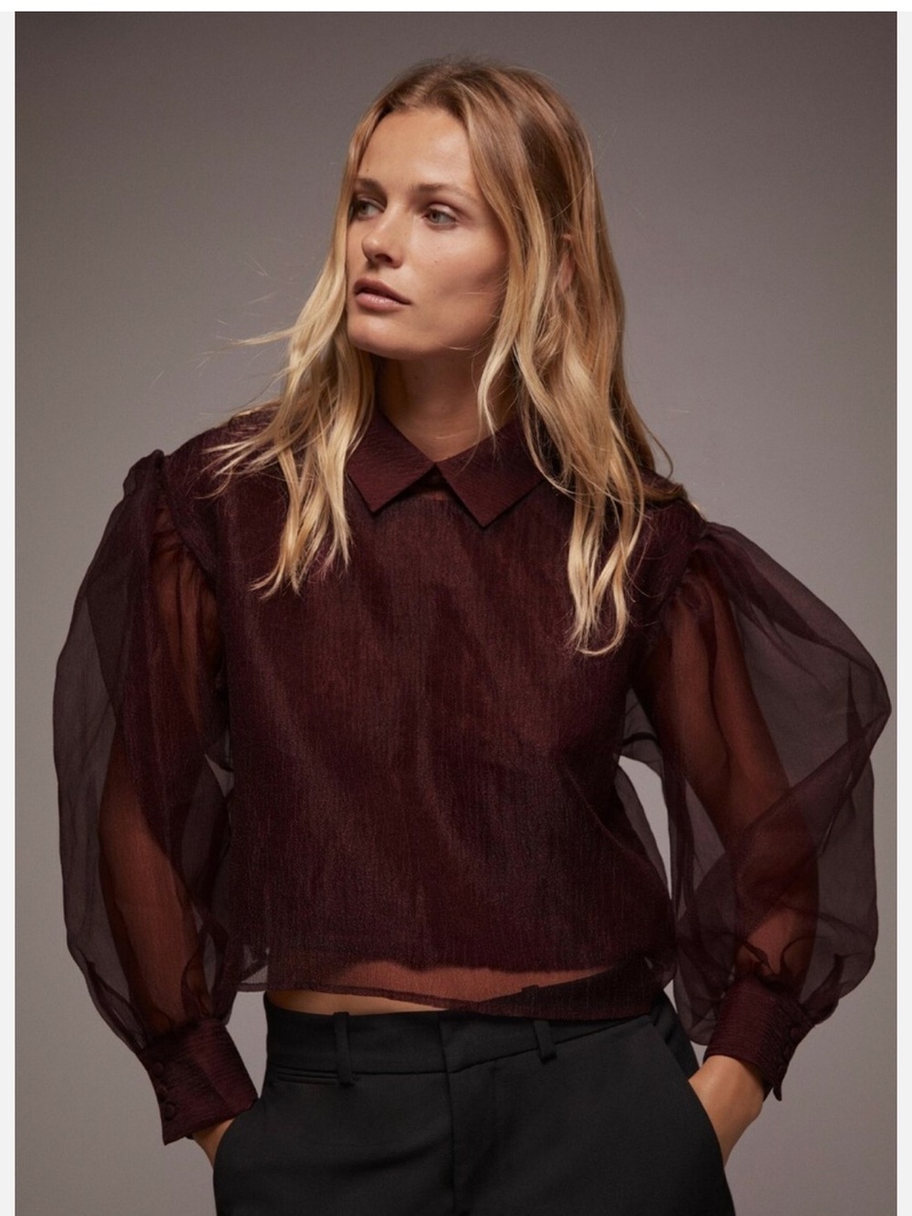 ZARA Burgundy Limited Edition Organza Puff Sleeve Sweater